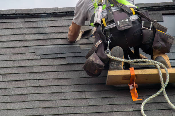 Best Roof Gutter Cleaning  in Gold River, CA